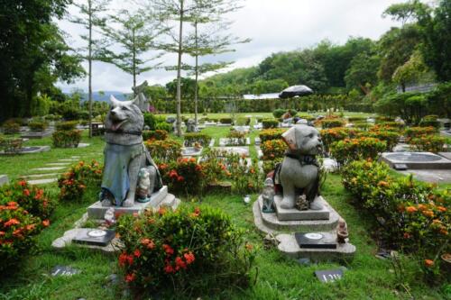 Pet Memorial 宠物墓园